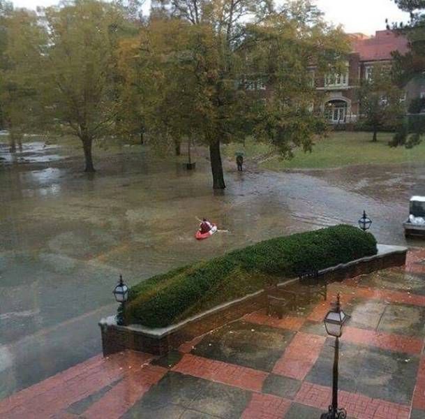 Порция картинок