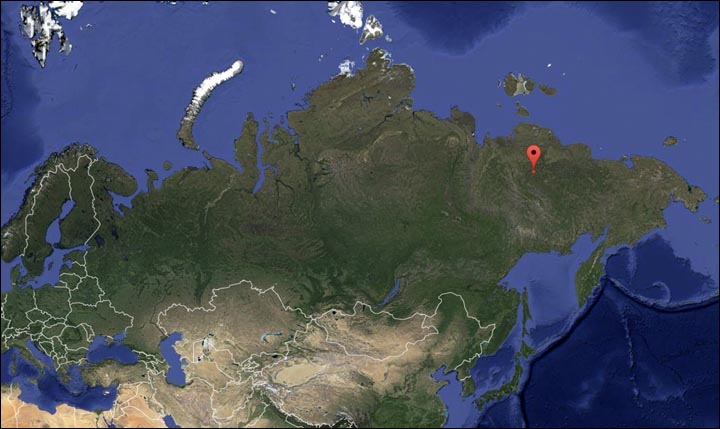 Останки детеныша пещерного льва нашли в Якутии