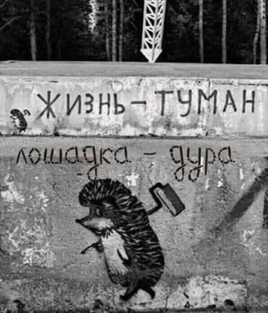 Фотографии, которые вызывают тоску