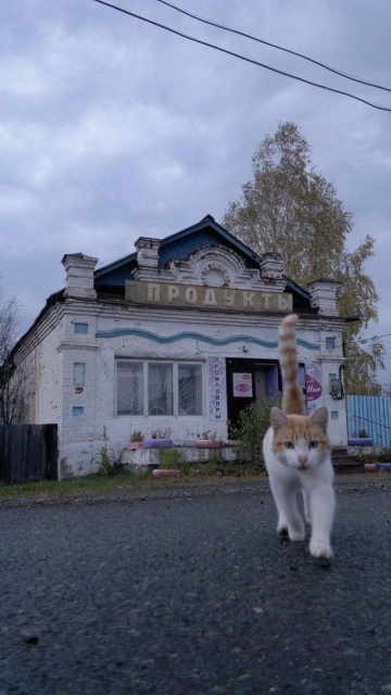 Фотографии, которые вызывают тоску