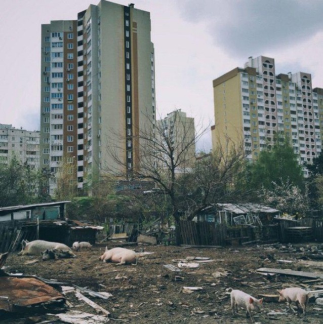 Фотографии, которые вызывают тоску