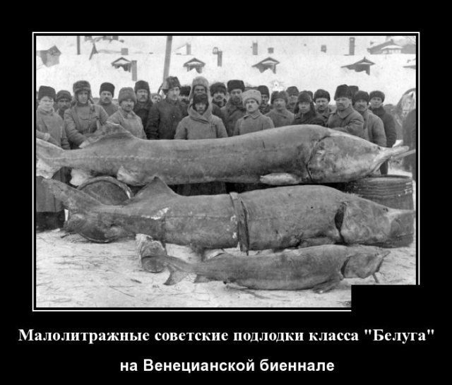 Демотиваторы