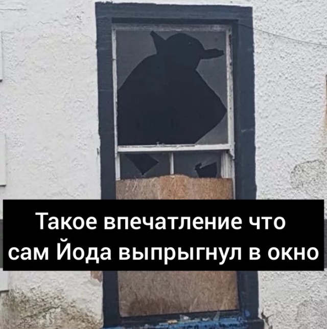 Прикольные картинки