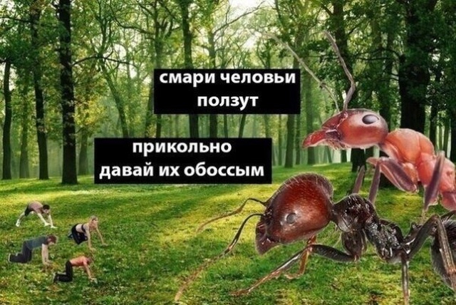 Юмор и забавные картинки без смысловой нагрузки