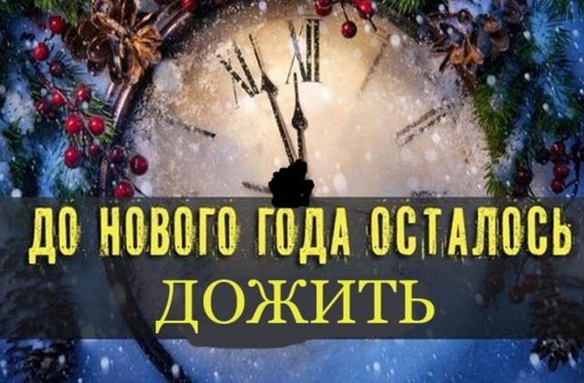 Юмор и забавные картинки без смысловой нагрузки
