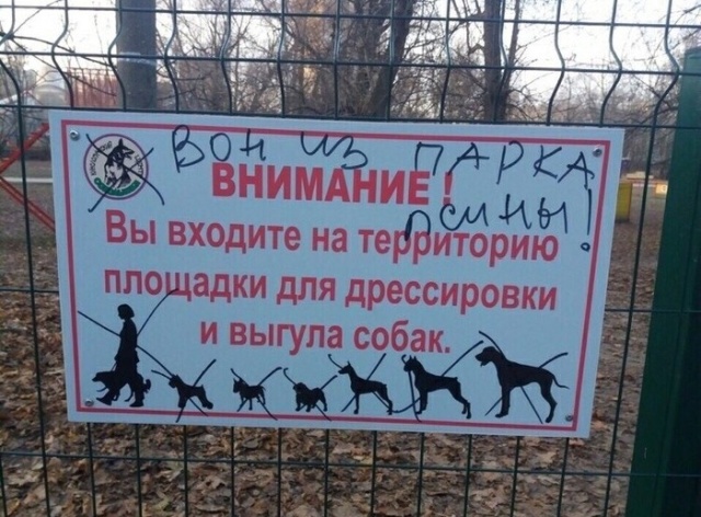 "Яжематери" против кинологов