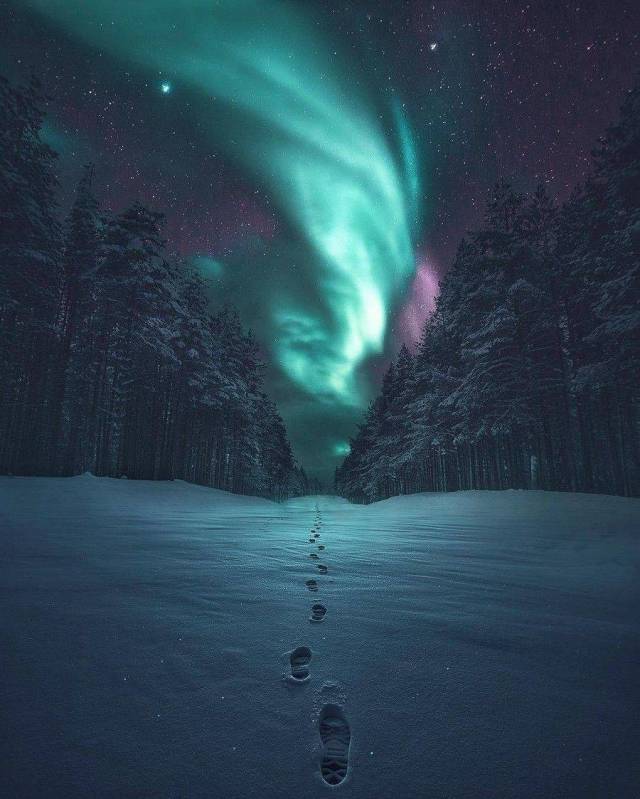 Фотографии вместо тысячи слов