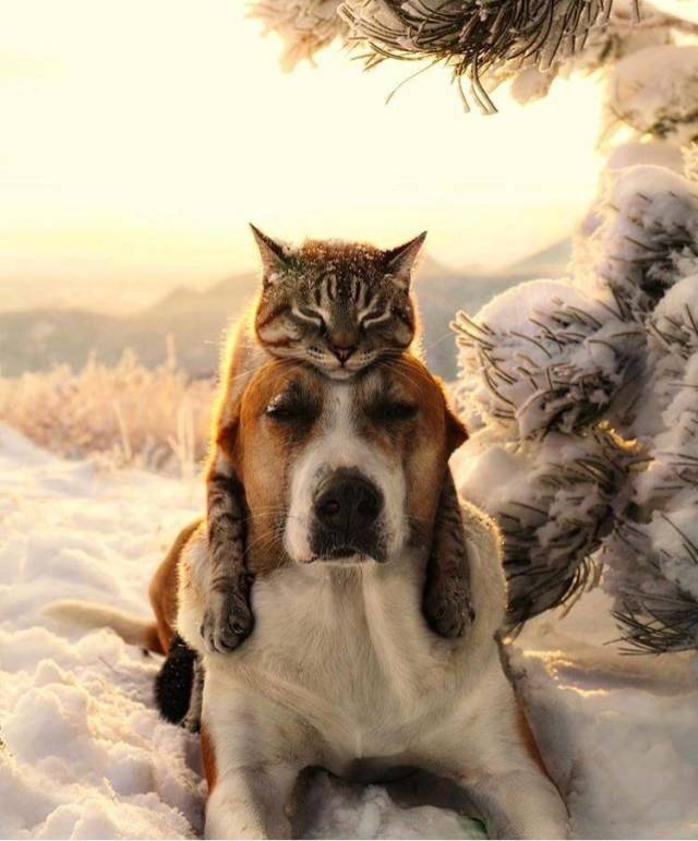 Фотографии вместо тысячи слов