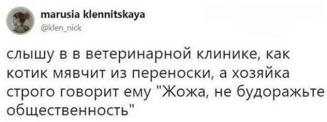 Комментарии и юмор из социальных сетей