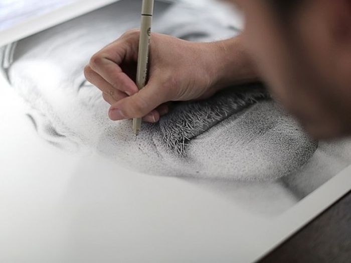 Рисунок как фотография (6 снимков)