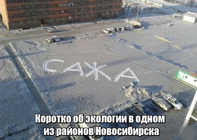 Прикольные картикни