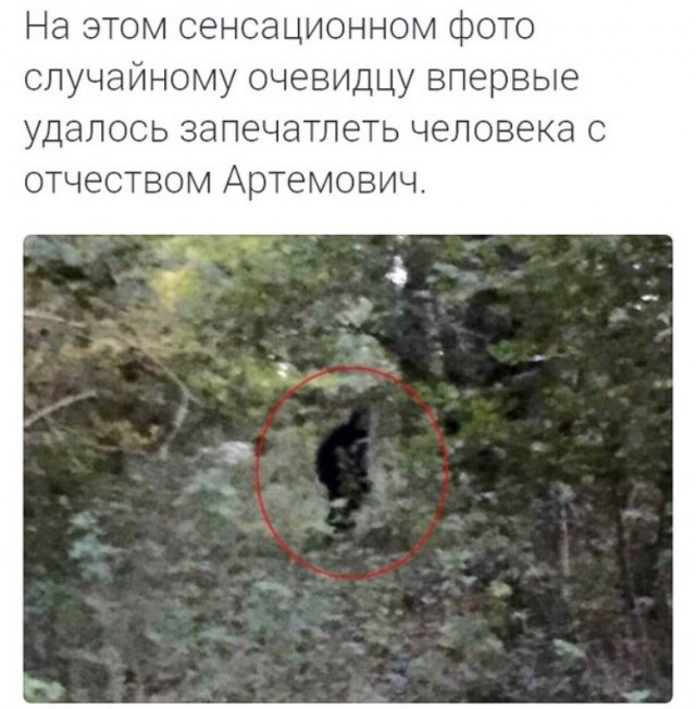 Нестандартный и слегка неадекватный юмор