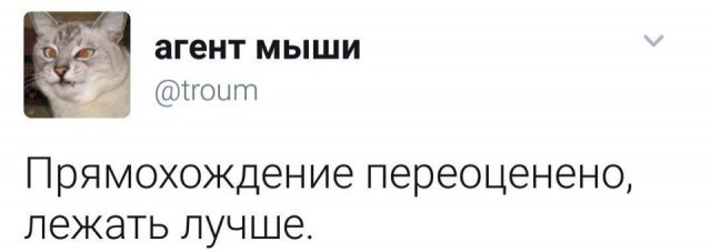 Нестандартный и слегка неадекватный юмор