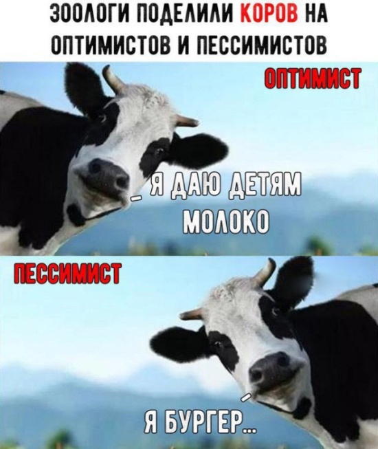 Нестандартный и слегка неадекватный юмор