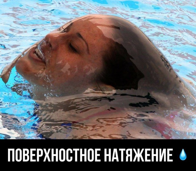 Умный юмор и околонаучные шутки