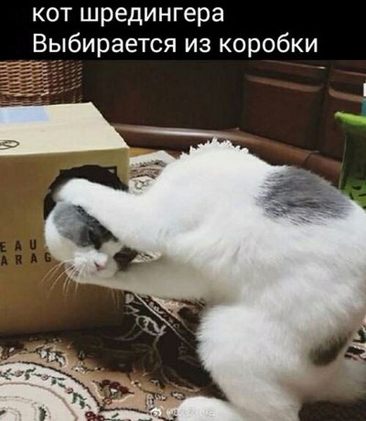 Умный юмор и околонаучные шутки