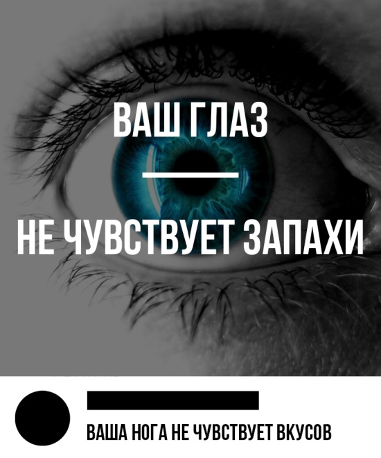 Юмор и картинки из социальных сетей