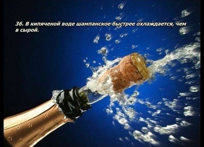 Разные факты о еде
