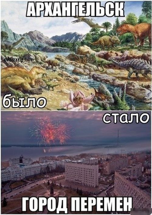 Порция картинок