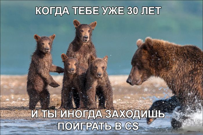 Порция картинок