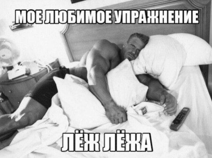 Порция картинок