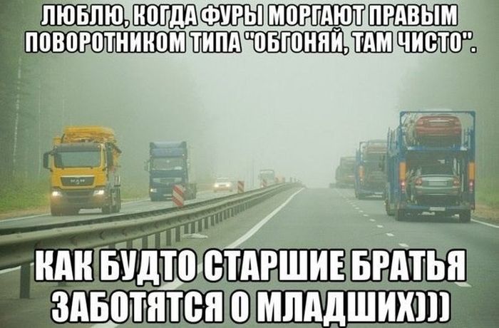 Порция картинок