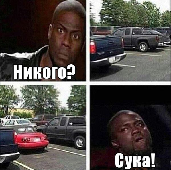 Порция картинок