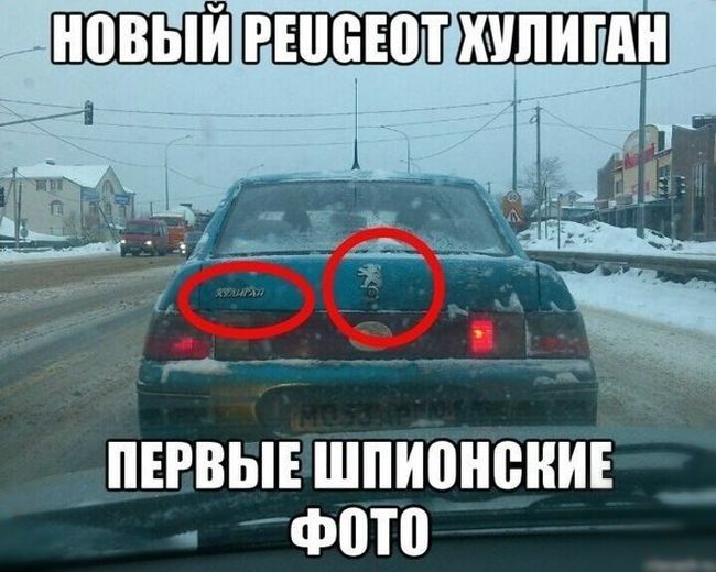 Порция картинок