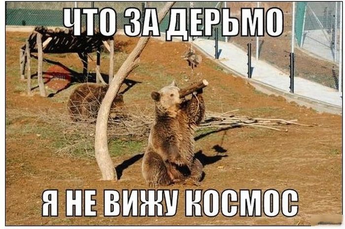Порция картинок