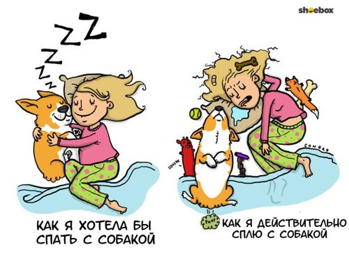 Смешные комиксы