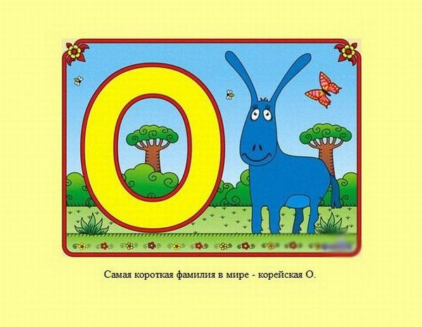 Любопытные факты обо всем на свете