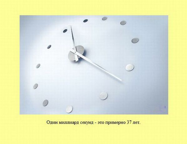 Любопытные факты обо всем на свете