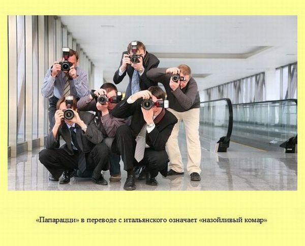 Любопытные факты обо всем на свете