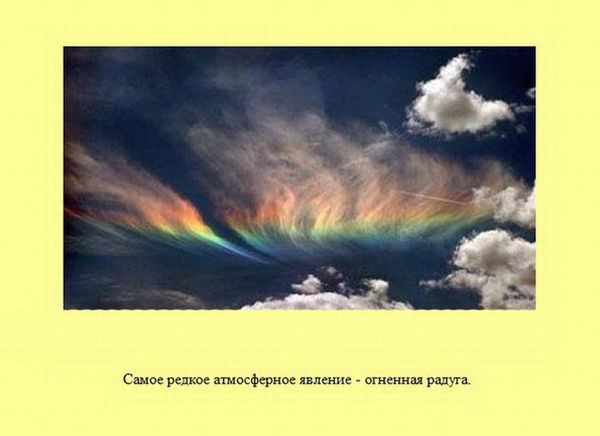 Любопытные факты обо всем на свете
