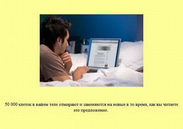 Любопытные факты обо всем на свете