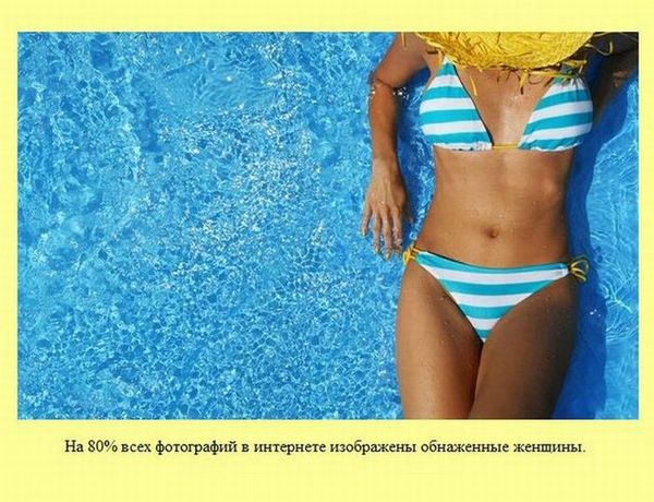 Любопытные факты обо всем на свете