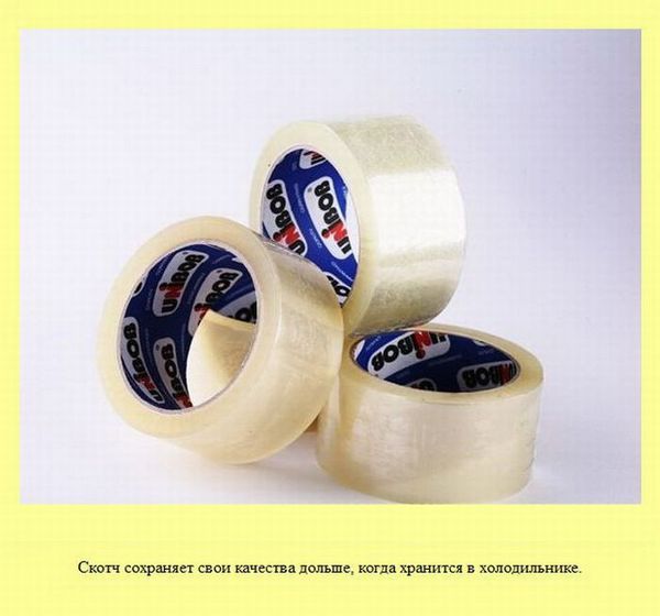 Любопытные факты обо всем на свете