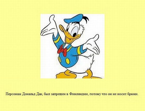 Любопытные факты обо всем на свете