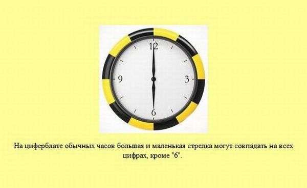 Любопытные факты обо всем на свете
