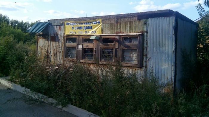 Прикольные картинки