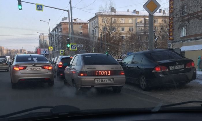 Прикольные картинки