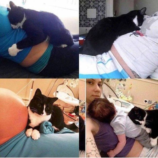 Прикольные картинки