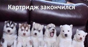 Прикольные картинки