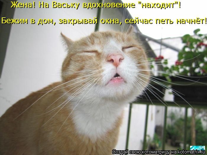 Лучшие котоматрицы недели