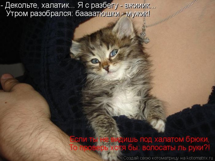 Лучшие котоматрицы недели