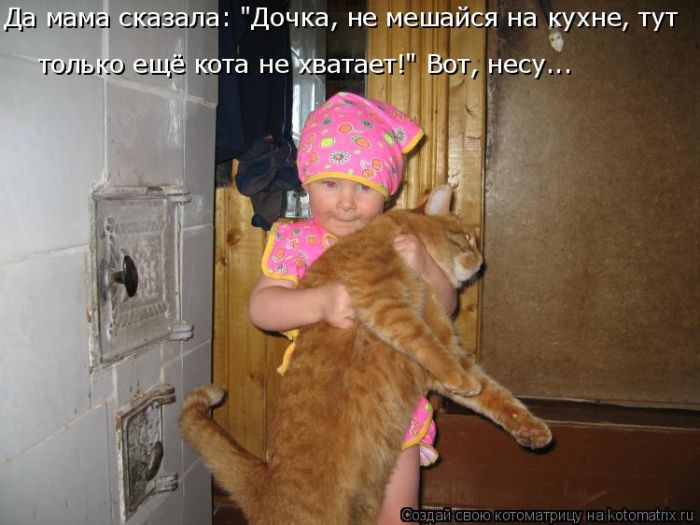 Лучшие котоматрицы недели