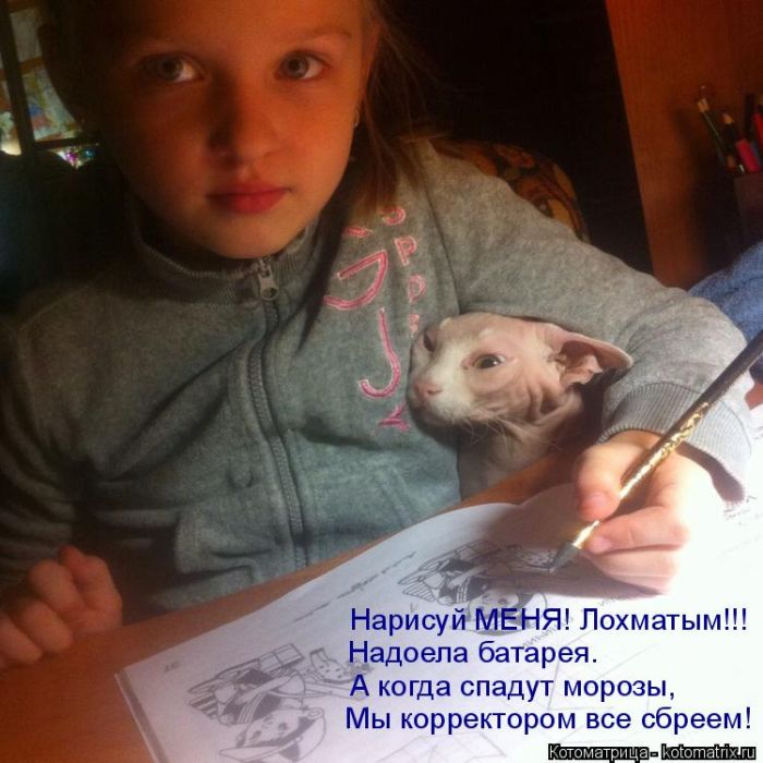 Лучшие котоматрицы недели