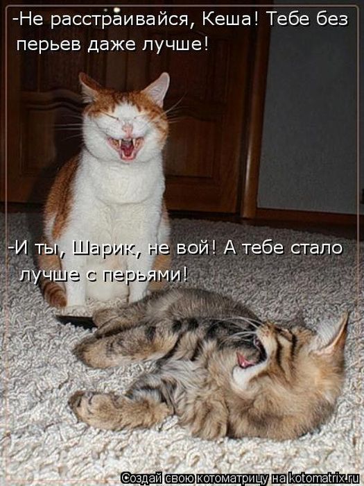 Лучшие котоматрицы недели