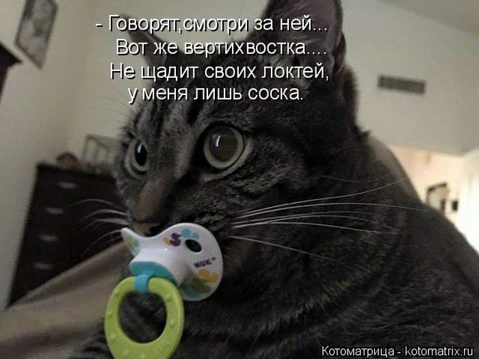Лучшие котоматрицы недели