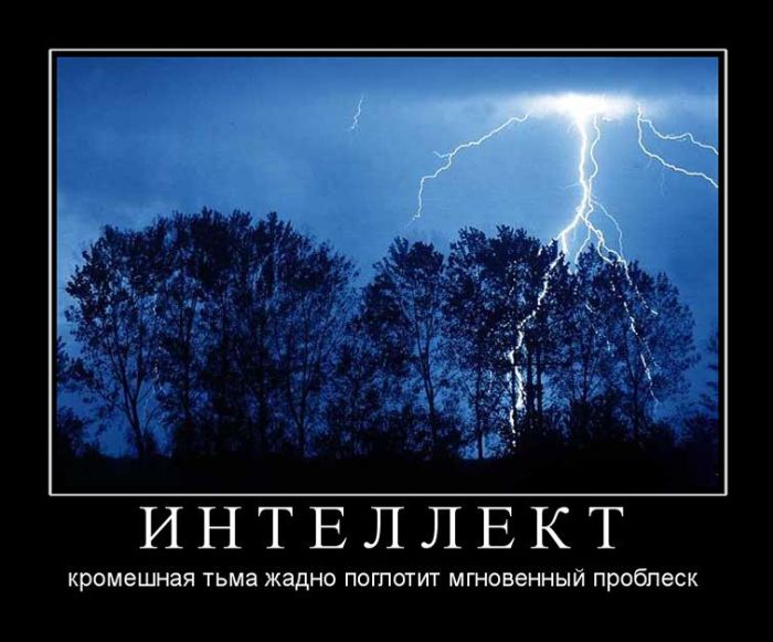Демотиваторы